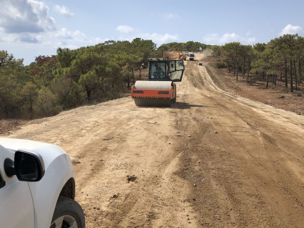 Cost of Driveway Grading in Parker